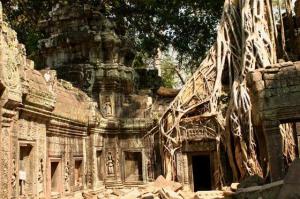 1987801-Travel_Picture-Ta_Prohm_temple_Angkor_Cambodia